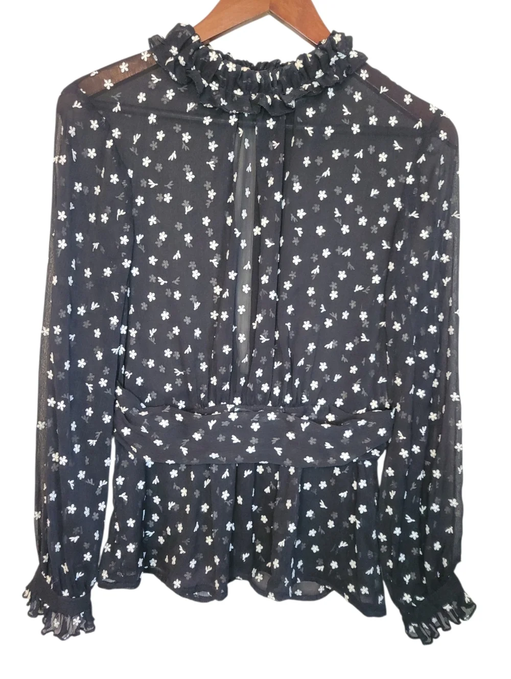 Zara Sheer Embroidered Blouse Small Black Floral Mesh Ruffle Neck Peplum Top - Picture 2 of 10